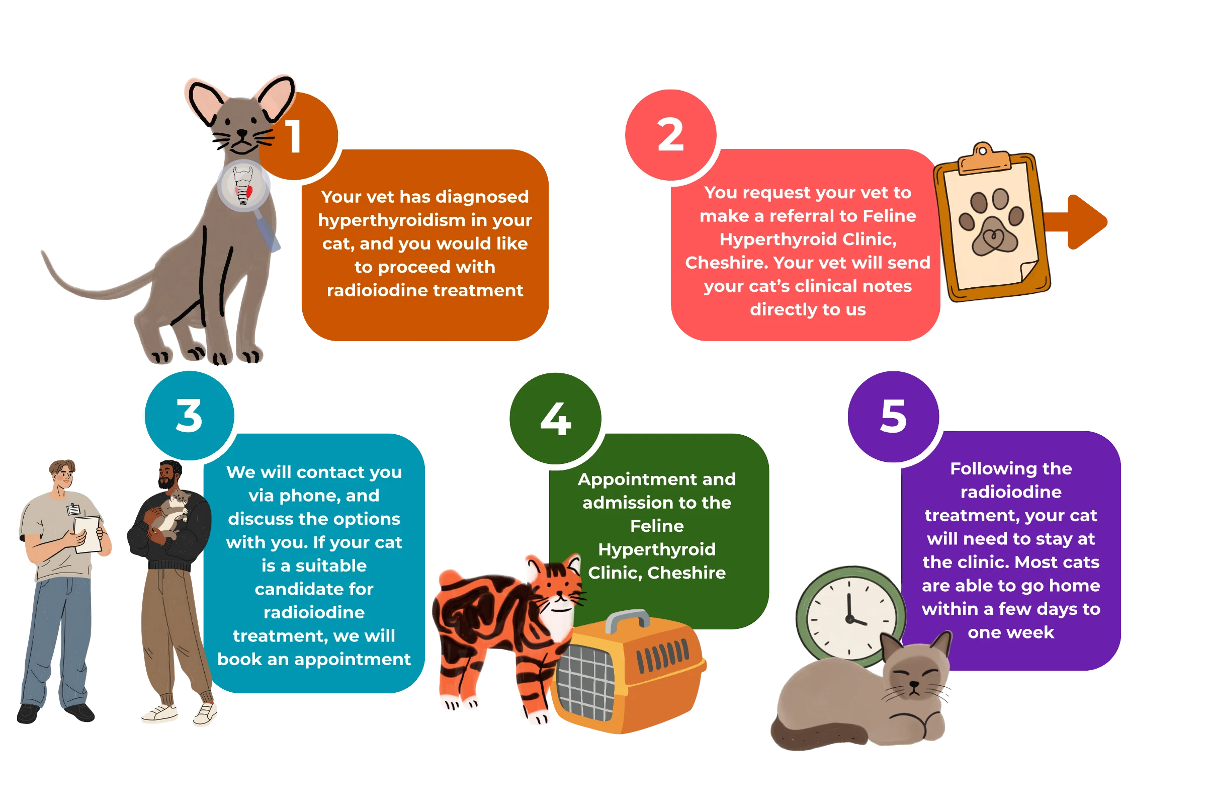 The five-step radioiodine referral process: your vet diagnoses hyperthyroidism, refers your cat and sends their clinical notes, we call to discuss the options and book an appointment, your cat is admitted for treatment, then stays with us and goes home within a few days to a week.