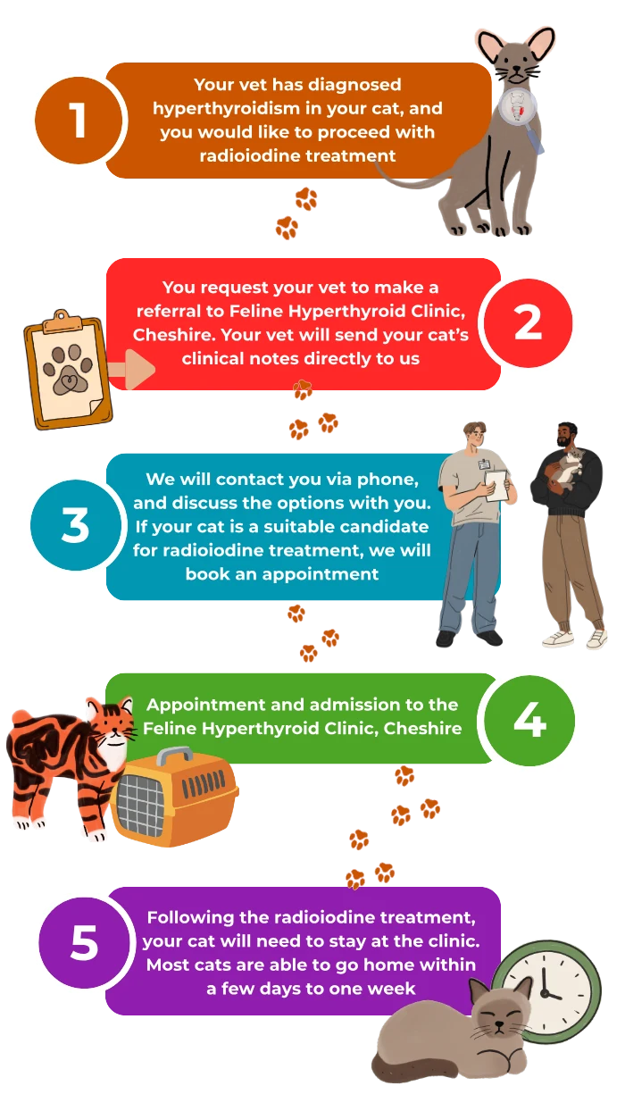 The five-step radioiodine referral process: your vet diagnoses hyperthyroidism, refers your cat and sends their clinical notes, we call to discuss the options and book an appointment, your cat is admitted for treatment, then stays with us and goes home within a few days to a week.